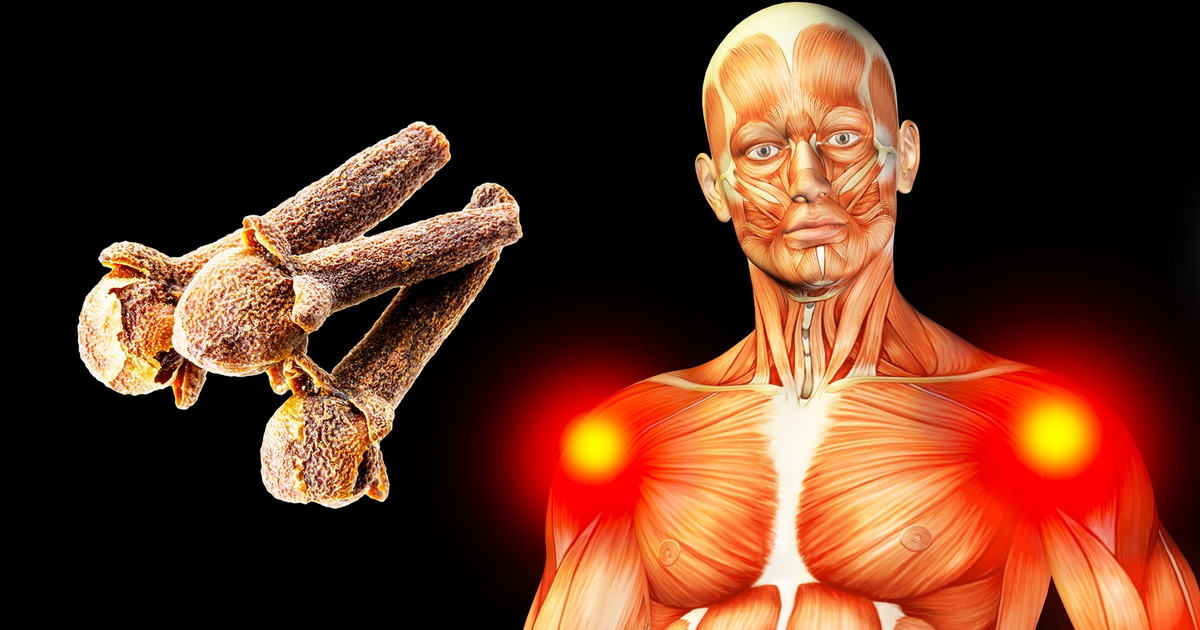 O que acontece com o seu corpo se você comer dois cravos por dia O que acontece com o seu corpo se você comer dois cravos por dia