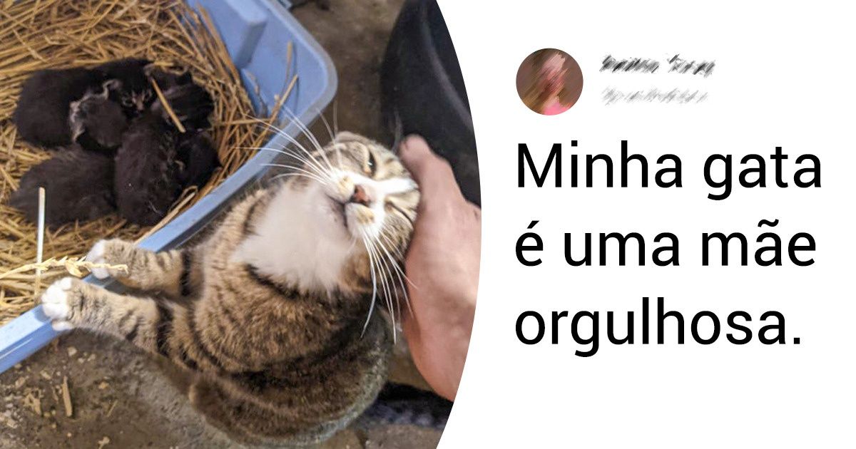 15+ Fotos muito fofas para deixar o seu dia mais feliz 15+ Fotos muito fofas para deixar o seu dia mais feliz