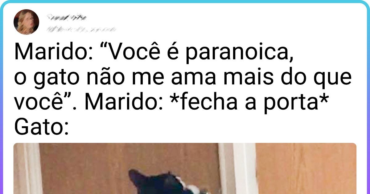 20+ Mulheres cujos gatos roubaram suas caras-metades e nem pestanejaram