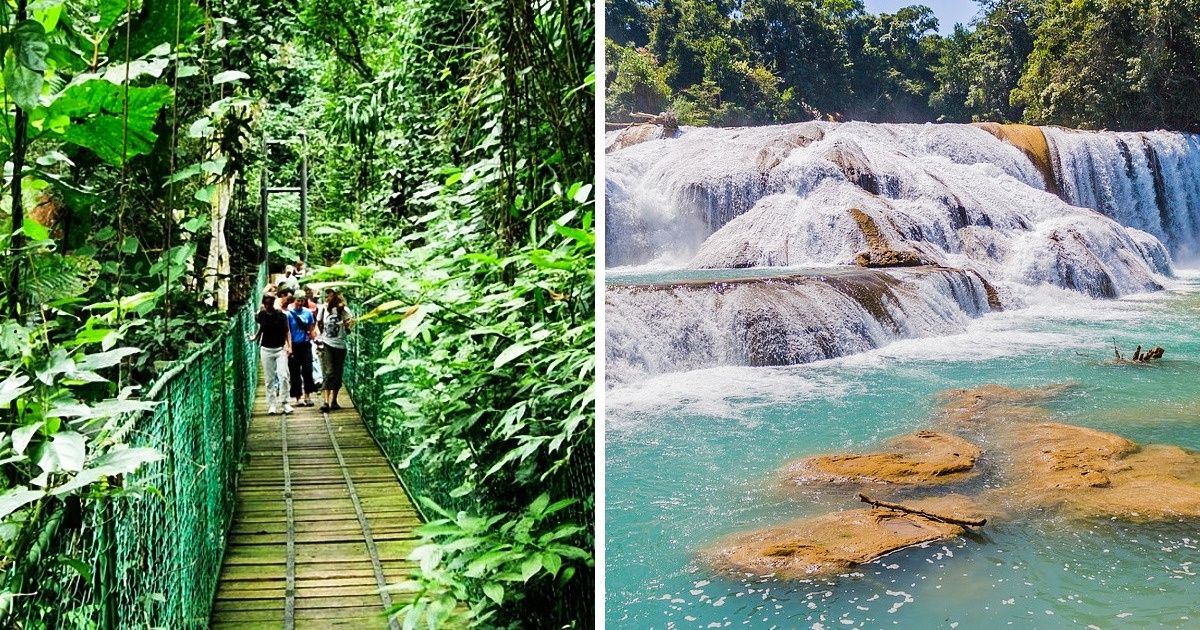 6 Países produtores que todo amante de café precisa conhecer 6 Países produtores que todo amante de café precisa conhecer