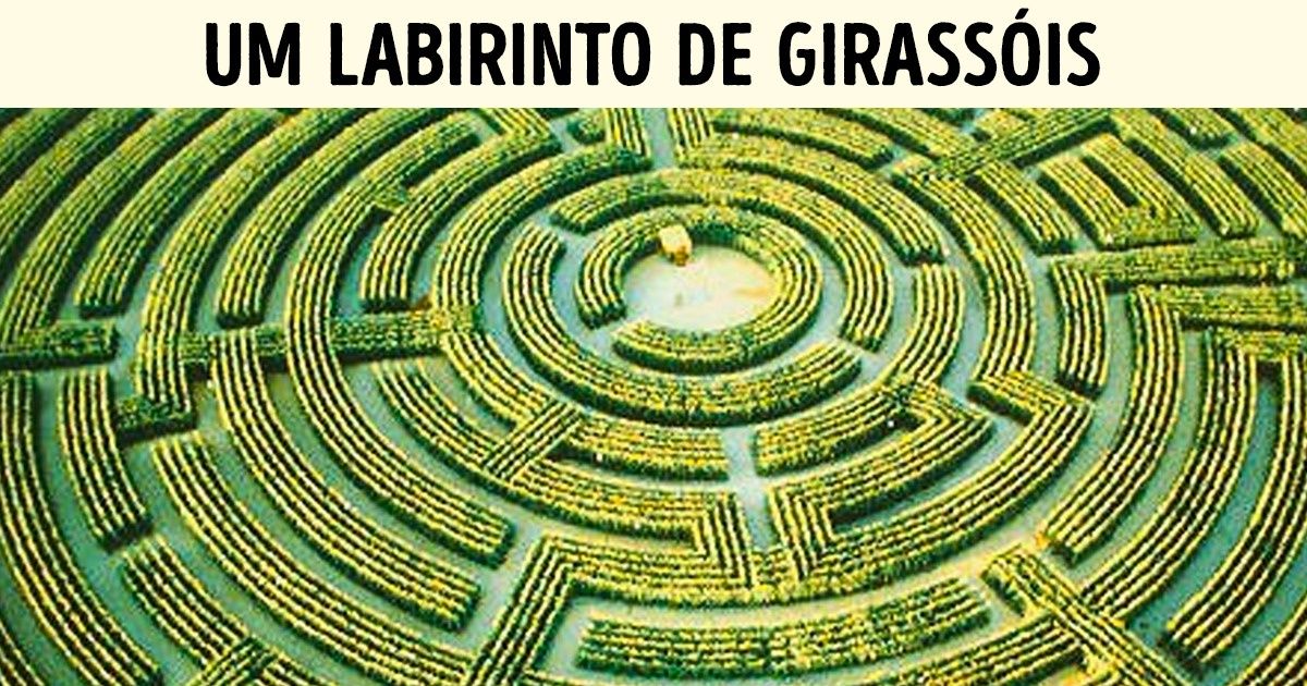 10 Labirintos espalhados pelo mundo que parecem saídos de contos de fadas