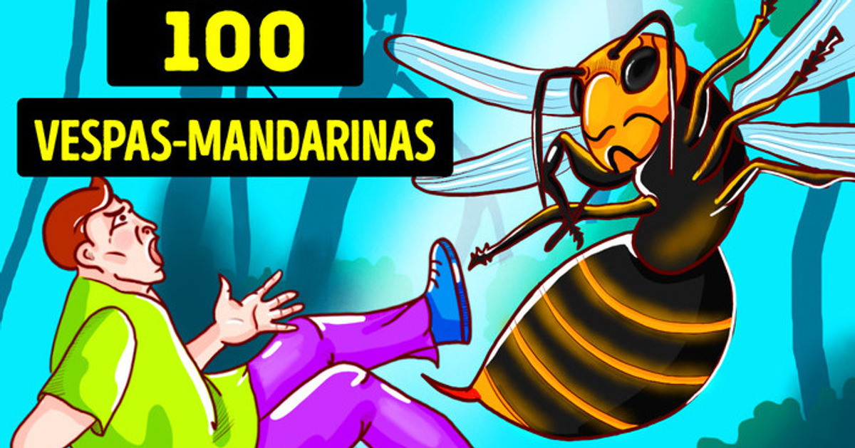 E Se a Vespa-mandarina Picasse Você 100 Vezes? E Se a Vespa-mandarina Picasse Você 100 Vezes?