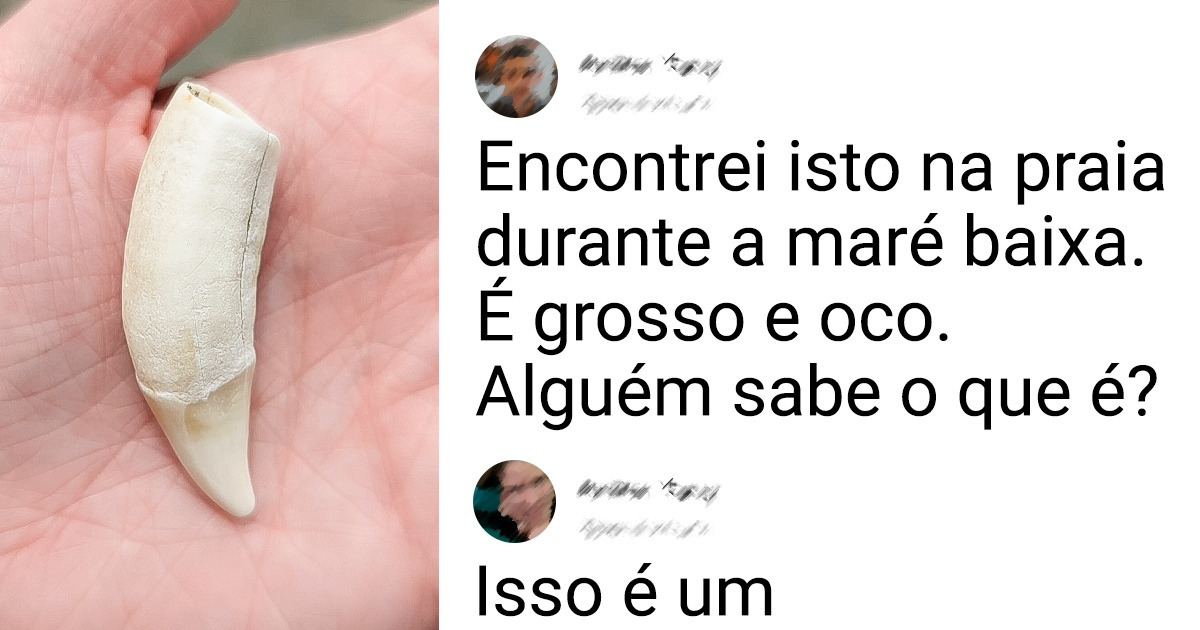 18 Objetos curiosos que nem os donos sabiam o que eram e precisaram de ajuda para descobrir