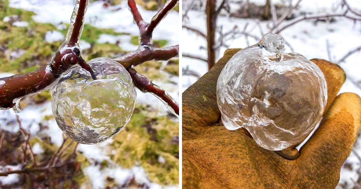 20 Fotos de coisas que você certamente nunca tinha visto antes