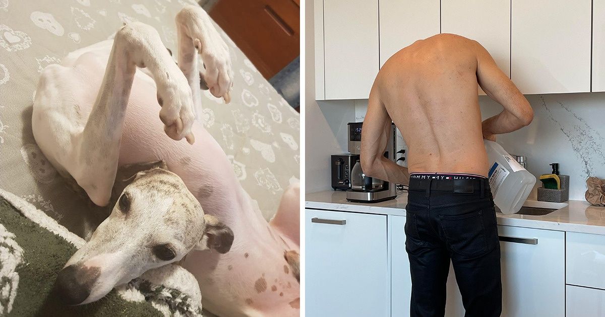 15+ Fotos que vão deixar você sem entender absolutamente nada 15+ Fotos que vão deixar você sem entender absolutamente nada
