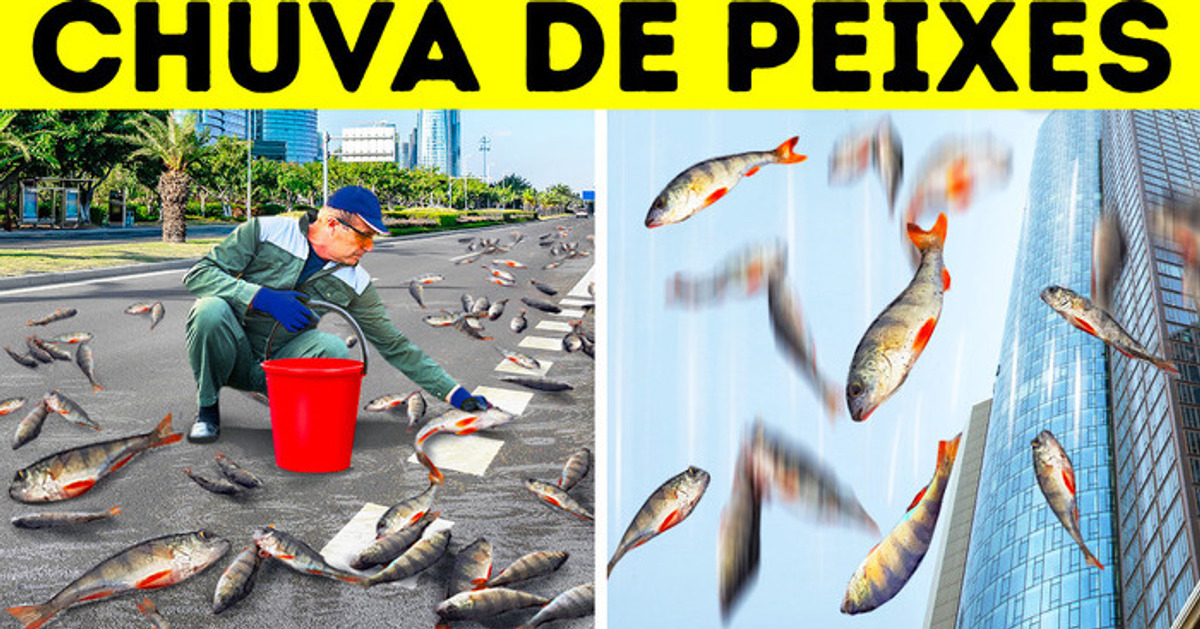 Da próxima vez que você vir nuvens de chuva, pode ser que chova peixe Da próxima vez que você vir nuvens de chuva, pode ser que chova peixe