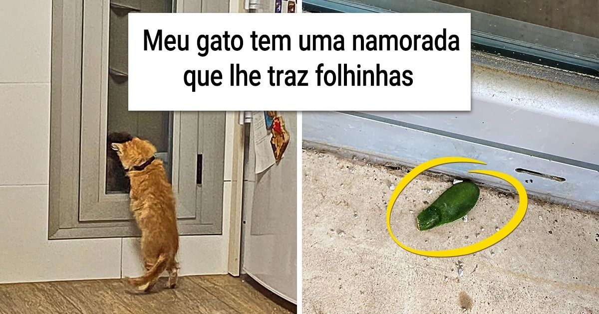 18 Fotos de animais que sabem muito bem como demonstrar afeto