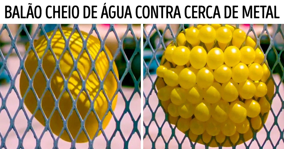 19 Curiosidades que vão ser uma completa surpresa para muita gente
