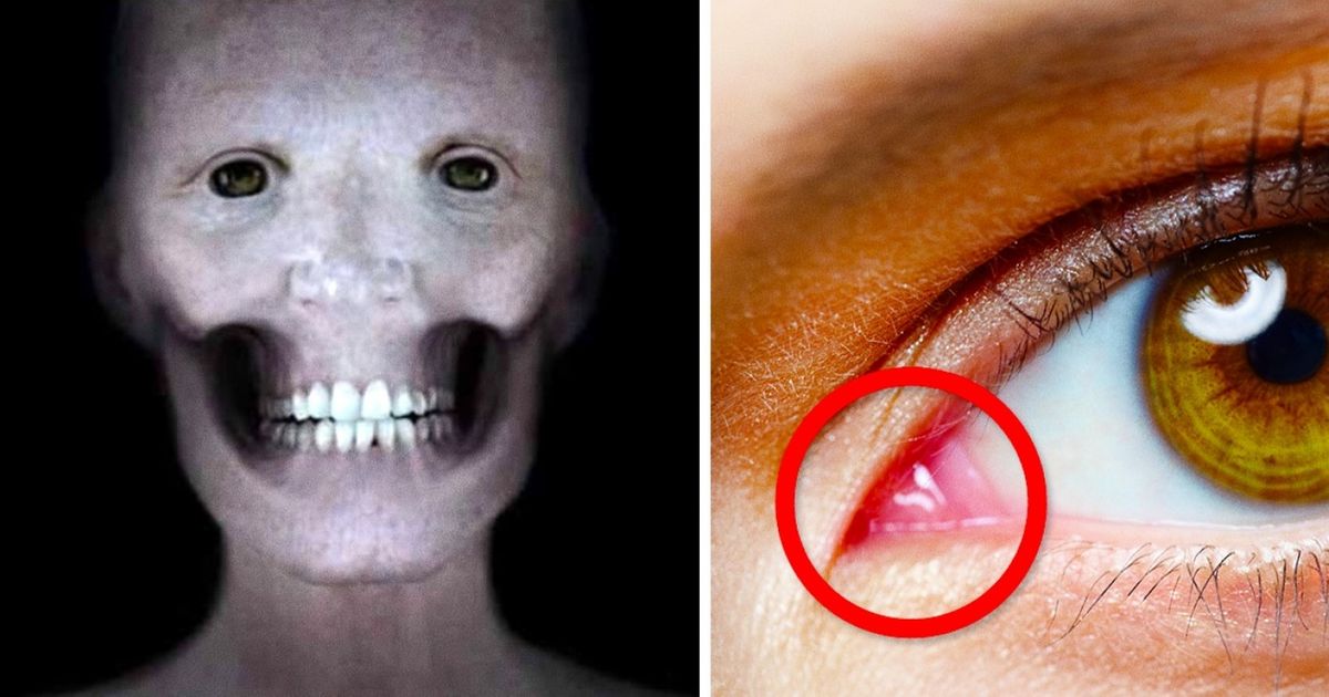 17 Dados incríveis sobre o corpo humano