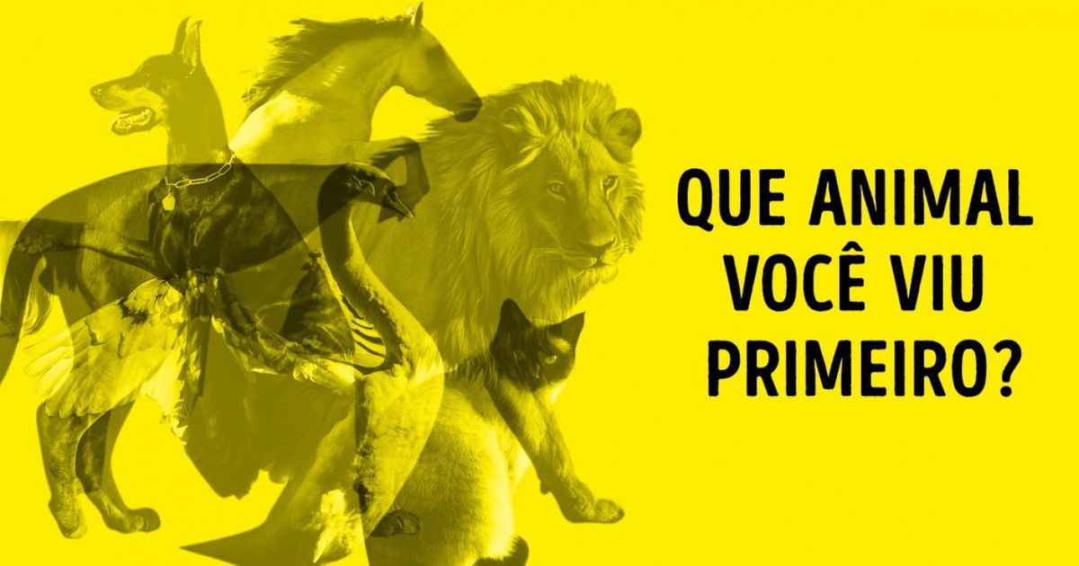 Teste: sem pensar, diga que animal você viu primeiro e descubra traços da sua personalidade