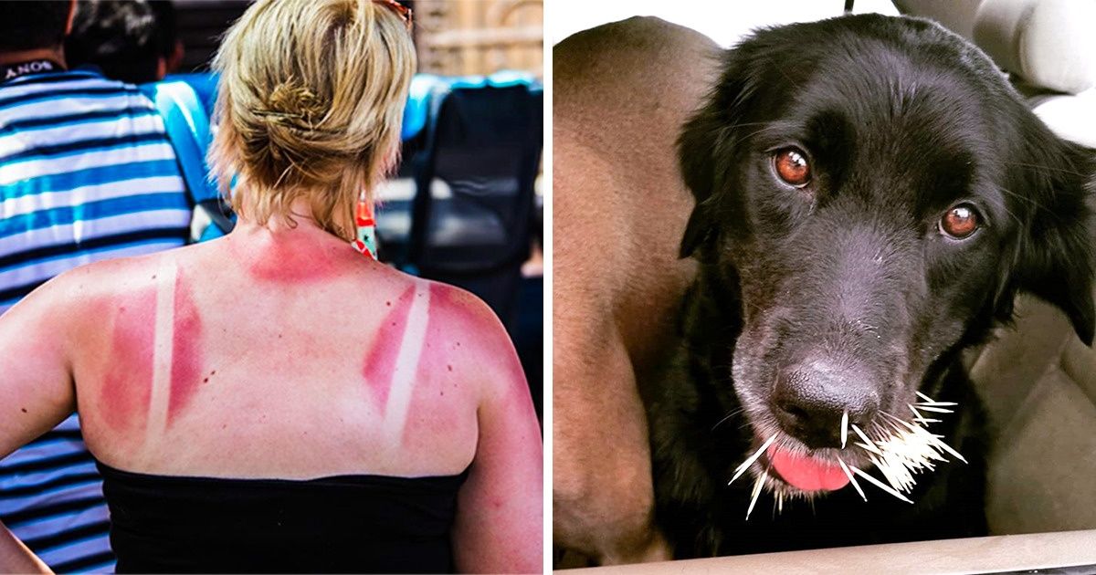 21 Fotos sobre como o cotidiano pode ser mais desastroso do que você imagina