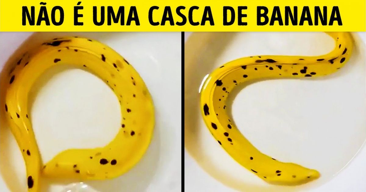 20 Imagens que mostram o melhor da arte da camuflagem