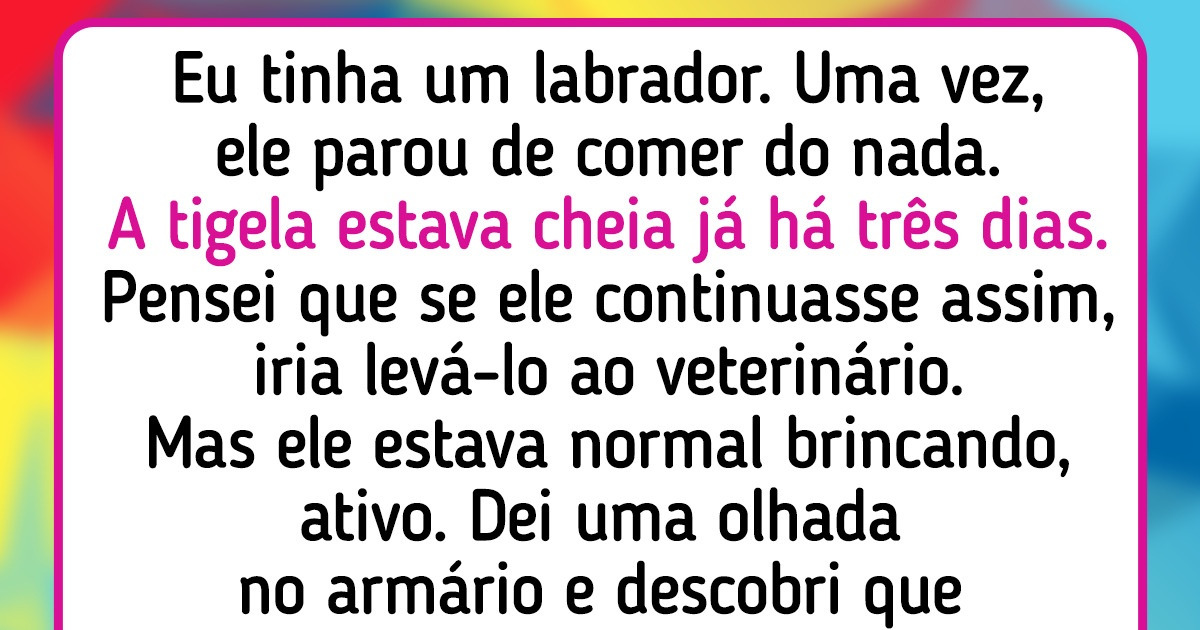 15 Histórias provam que um cachorro pode ser um verdadeiro presente na vida de uma pessoa 15 Histórias provam que um cachorro pode ser um verdadeiro presente na vida de uma pessoa