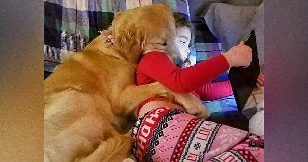 20 Seguidores do Incrível compartilharam as fotos mais fofas e engraçadas de seus pets 20 Seguidores do Incrível compartilharam as fotos mais fofas e engraçadas de seus pets