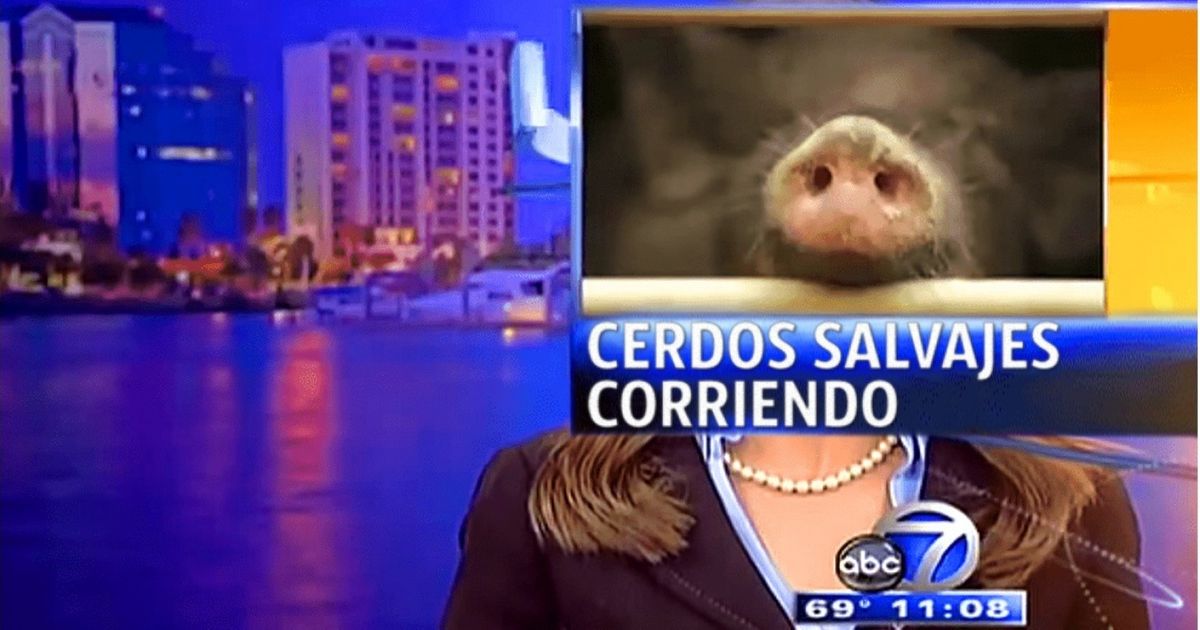 Os 20 erros mais divertidos da TV