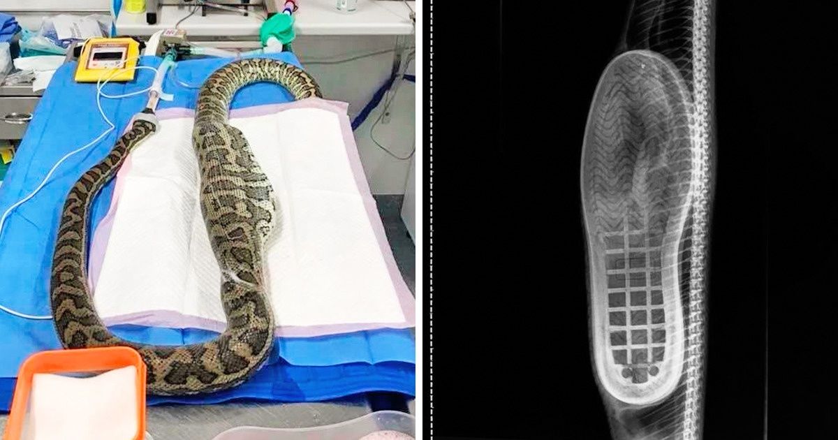 Fotos capazes de intrigar até os olhares mais atentos