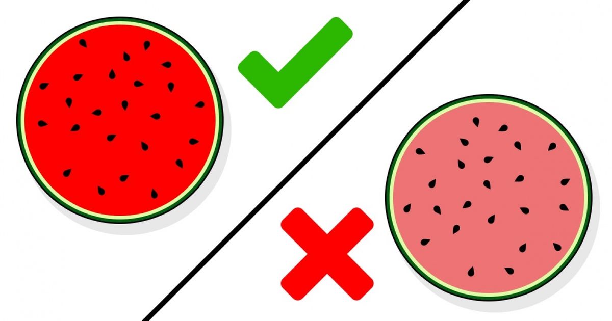 Sinais de que 11 alimentos não estão próprios para o consumo