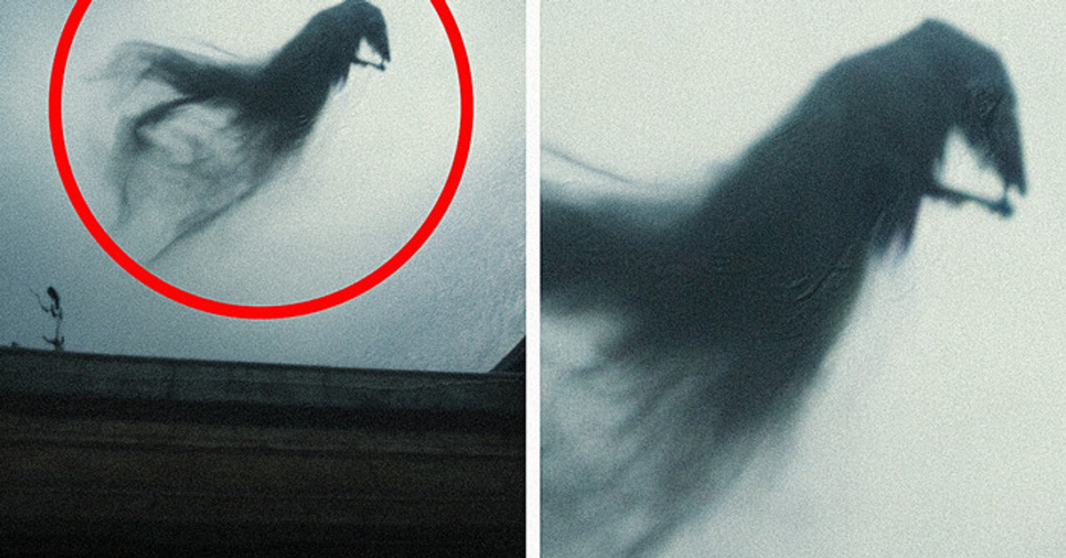 Se você vir essa nuvem no céu, tome cuidado