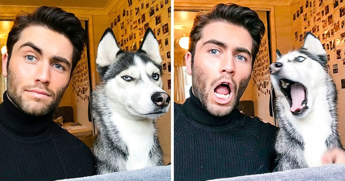 O britânico que lançou a moda de publicar uma foto com a mesma expressão do bicho de estimação