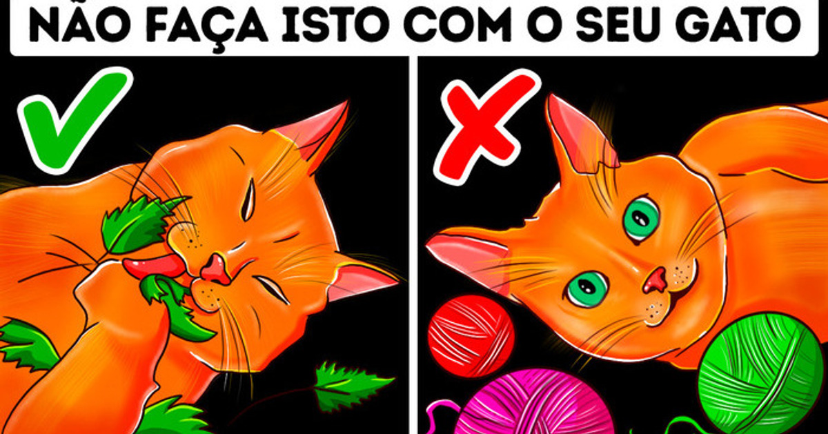 26 Erros perigosos que donos de gato cometem 26 Erros perigosos que donos de gato cometem