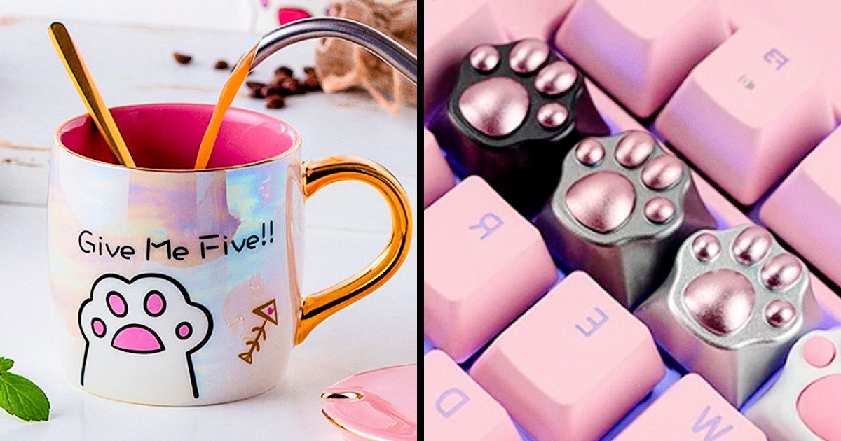 30+ Itens fofos e úteis vendidos na Internet para despertar o amante de gatos que existe em você