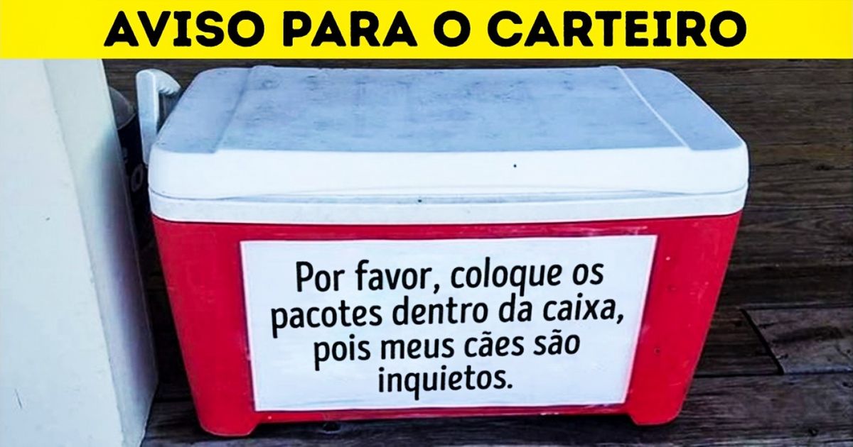 35 Fotos que retratam fielmente a vida com animais