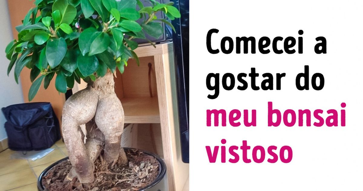27 Pessoas que sabem muito bem como lidar com a solidão