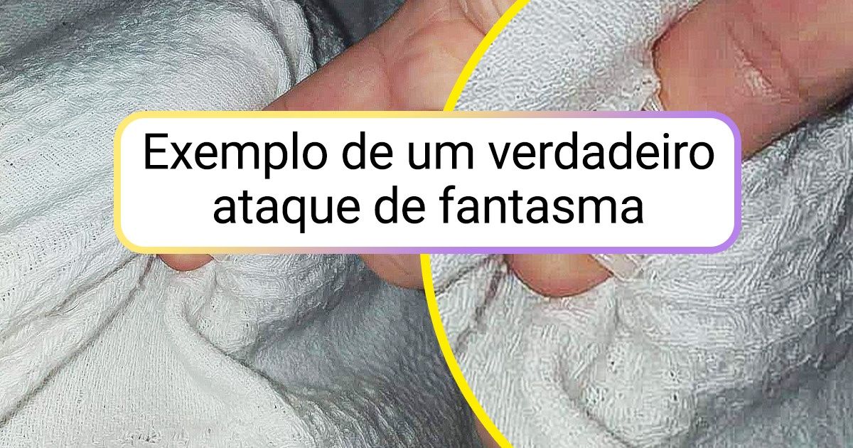 17 Fotos de objetos comuns em apresentações inesperadas 17 Fotos de objetos comuns em apresentações inesperadas