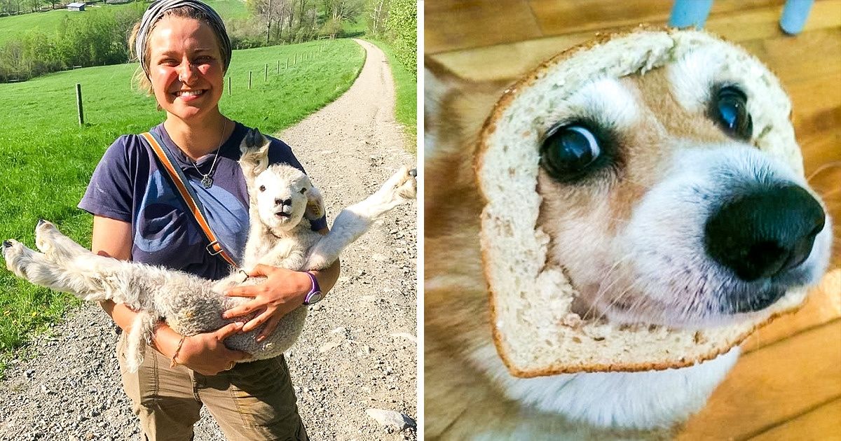 11 Fotos positivas e cheias de felicidade que aquecerão seu coração