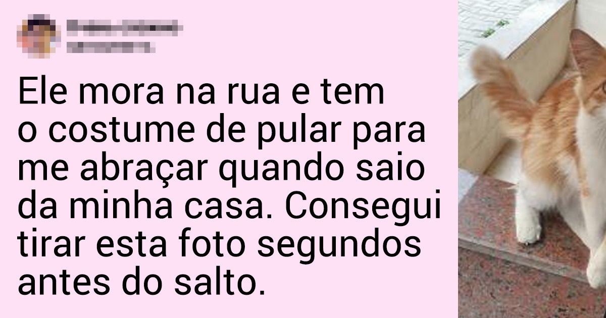 18 Histórias e fotos de bichos de estimação que mostram como é bom tê-los em nossas vidas