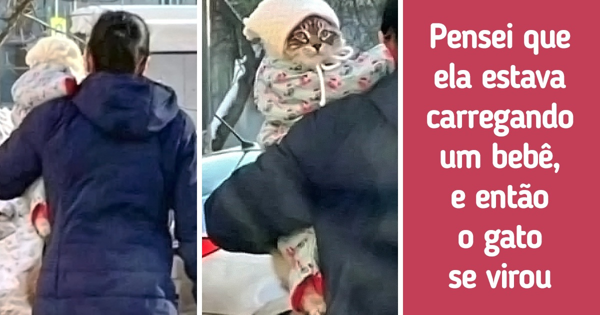 20 Vezes em que os animais parecem ter se tornado mais humanos que nós mesmos