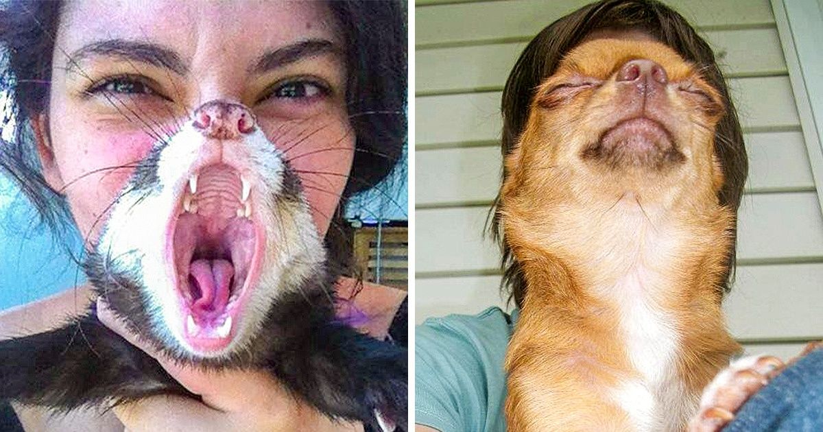 20 Pessoas que tiram selfies como se fossem profissionais