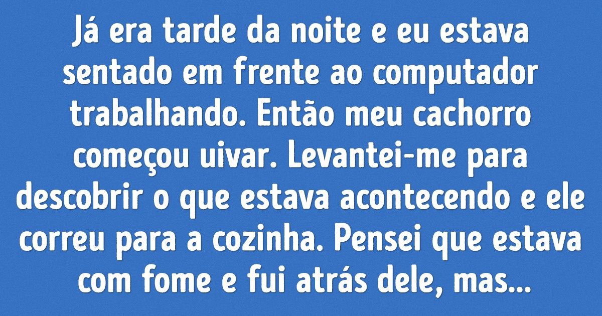 20+ Bichinhos de estimação que surpreenderam seus donos com sua astúcia