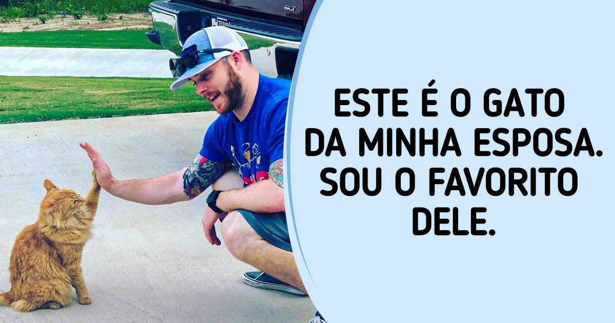 20 Animais que encontraram a alma gêmea em meio aos humanos
