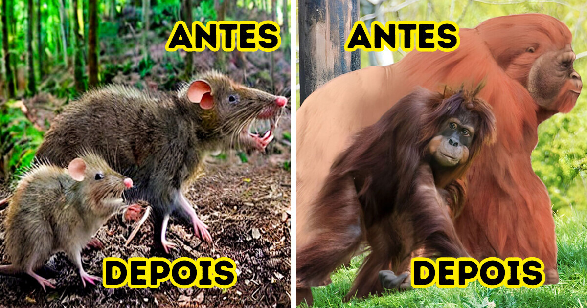Mudanças ao longo do tempo: 7 comparações físicas entre animais extintos e seus parentes atuais Mudanças ao longo do tempo: 7 comparações físicas entre animais extintos e seus parentes atuais