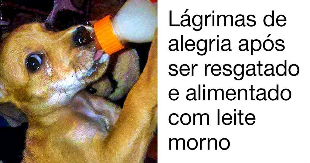 25 Fotos que mostram a felicidade em estado puro