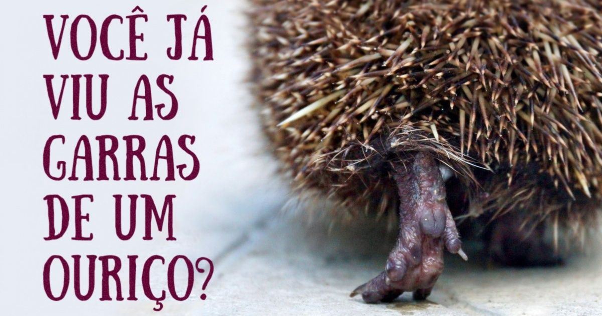 15 Fotografias que mostram que a natureza é o melhor artista