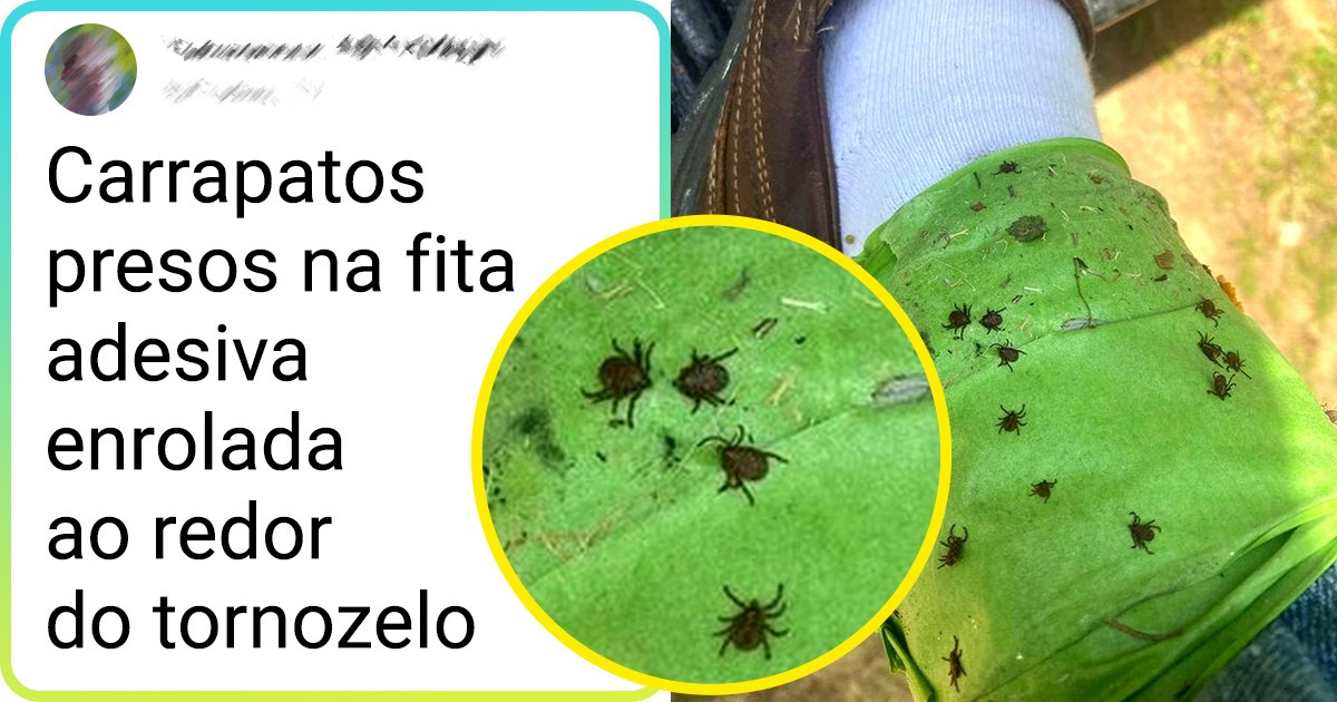 20 Internautas compartilharam truques simples para facilitar o dia a dia 20 Internautas compartilharam truques simples para facilitar o dia a dia