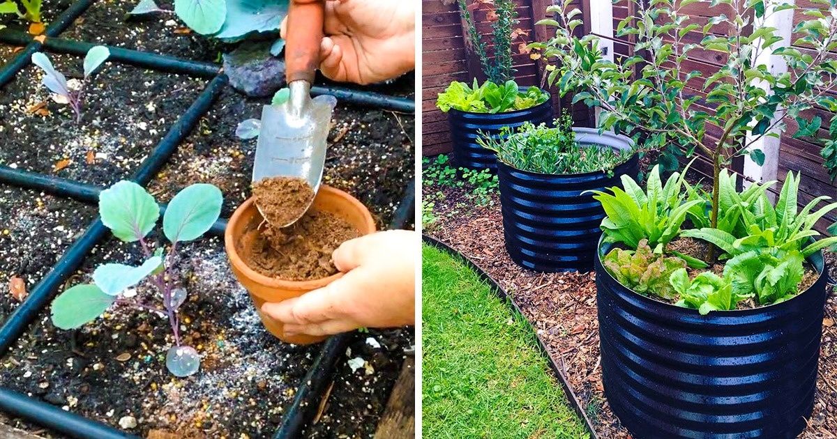 Como fazer um jardim usando apenas um metro quadrado Como fazer um jardim usando apenas um metro quadrado