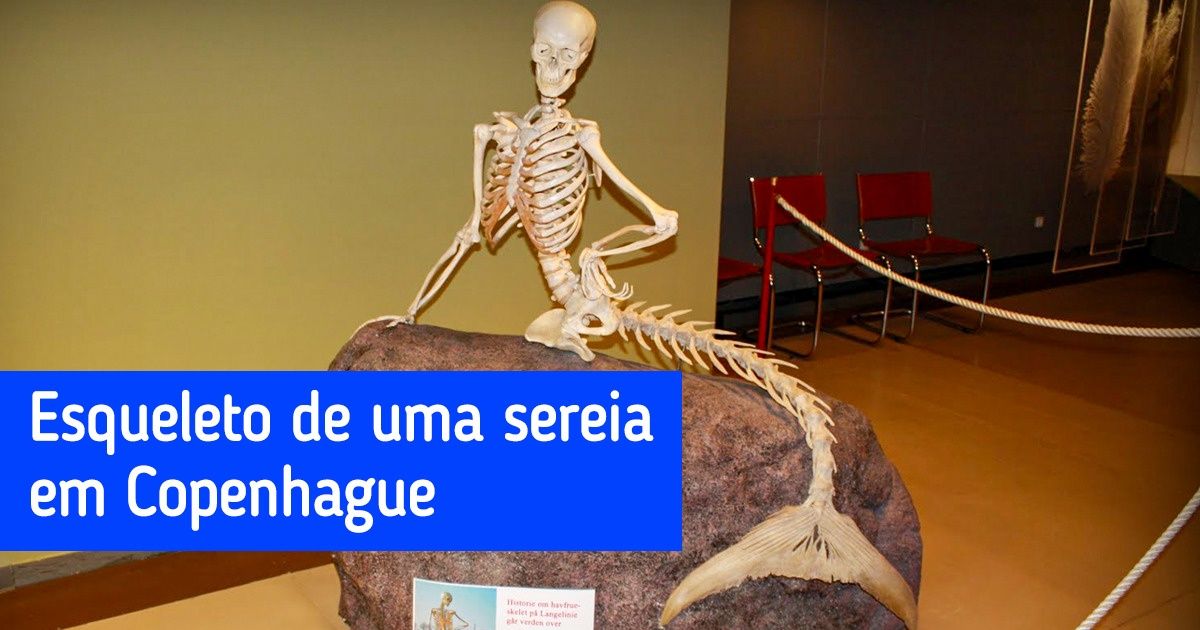 25 Artefatos incríveis e raros em exposição em museus ao redor do mundo 25 Artefatos incríveis e raros em exposição em museus ao redor do mundo
