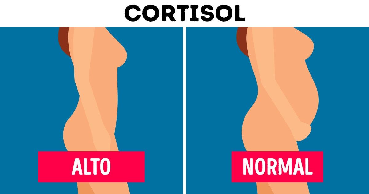 7 Mitos comuns sobre os hormônios e como eles realmente afetam o nosso corpo