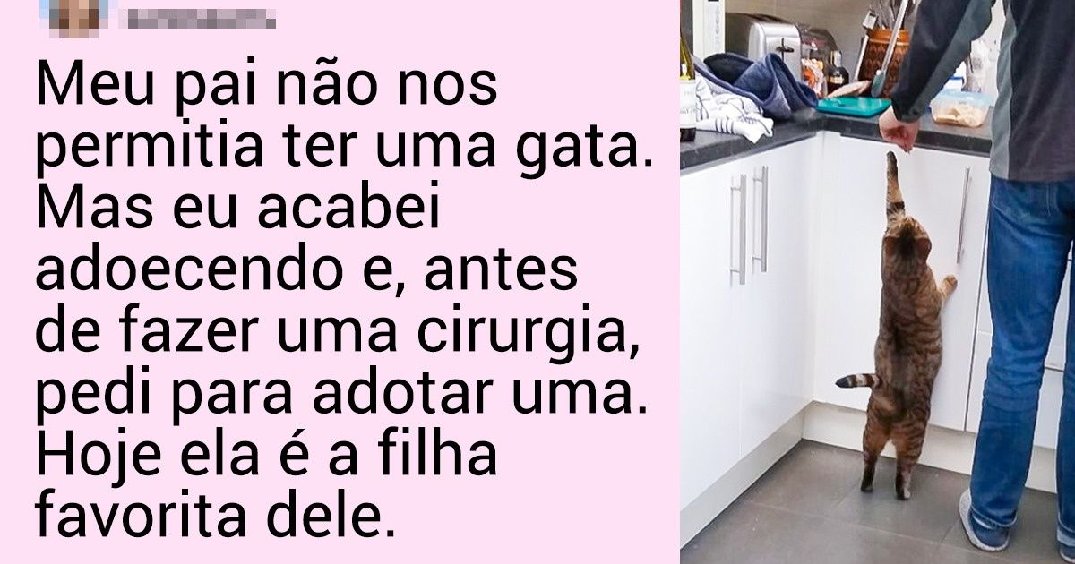 20 Internautas que não queriam animais de estimação, mas hoje não conseguem viver sem eles 20 Internautas que não queriam animais de estimação, mas hoje não conseguem viver sem eles