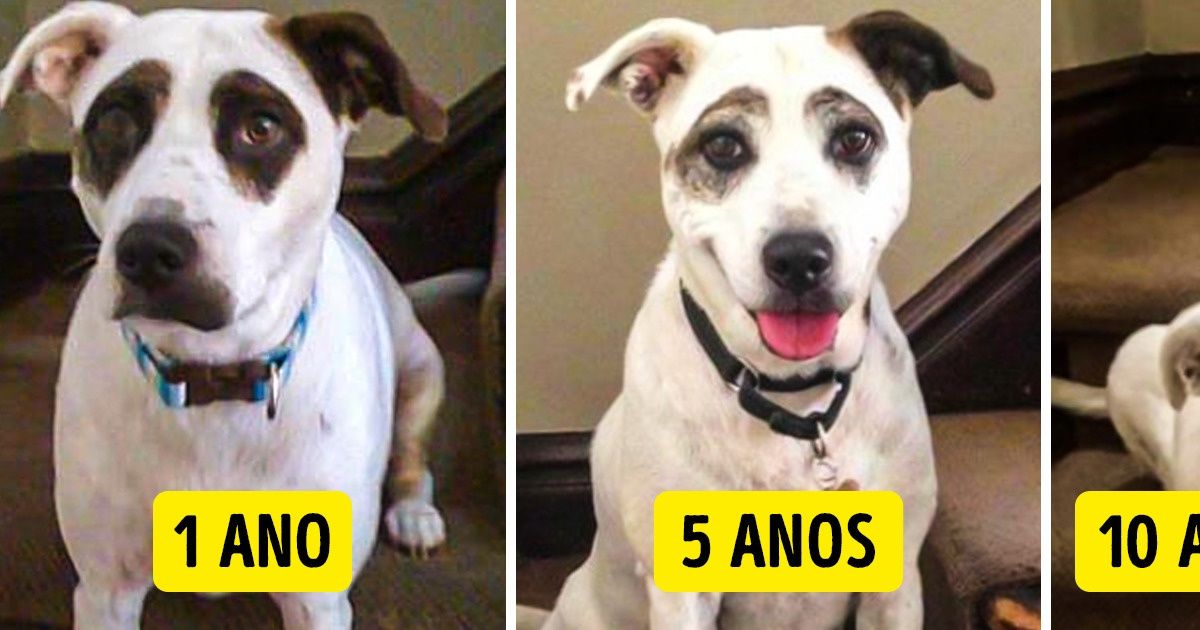 16 Internautas que são especiais por pequenos detalhes 16 Internautas que são especiais por pequenos detalhes