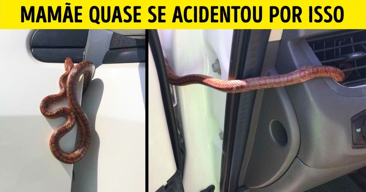 18 Fotos que fariam qualquer um tremer de medo