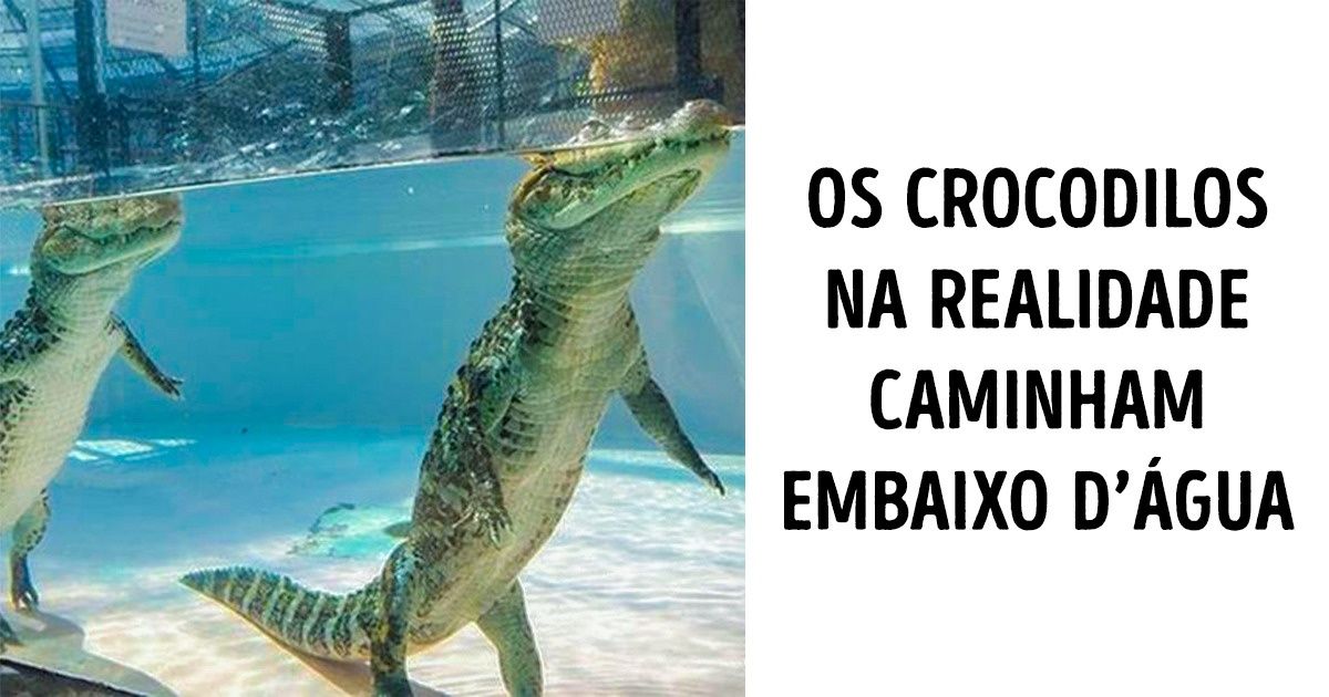 Estas imagens mostram que somos enganados pela vida todos os dias Estas imagens mostram que somos enganados pela vida todos os dias