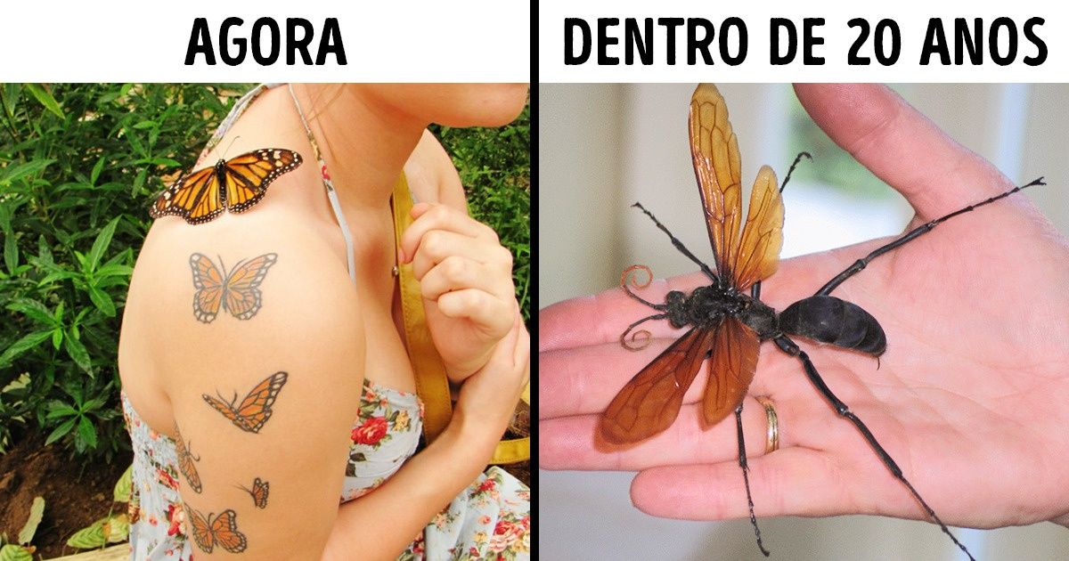 9 Inesperados problemas que o aquecimento global poderá trazer