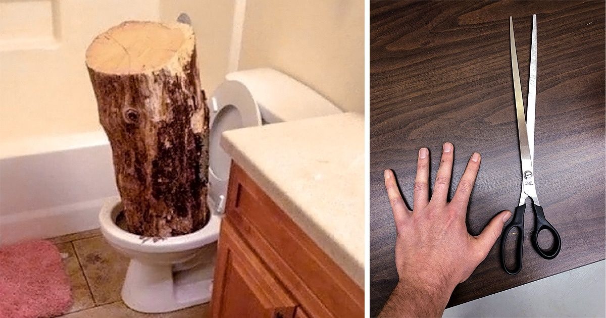 23 Fotos que não deixarão o tédio dominar seu dia