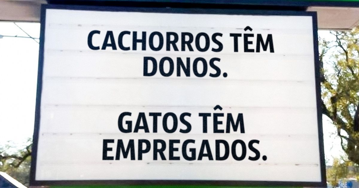 20 Placas de veterinários que mostram que trabalhar com animais melhora o humor