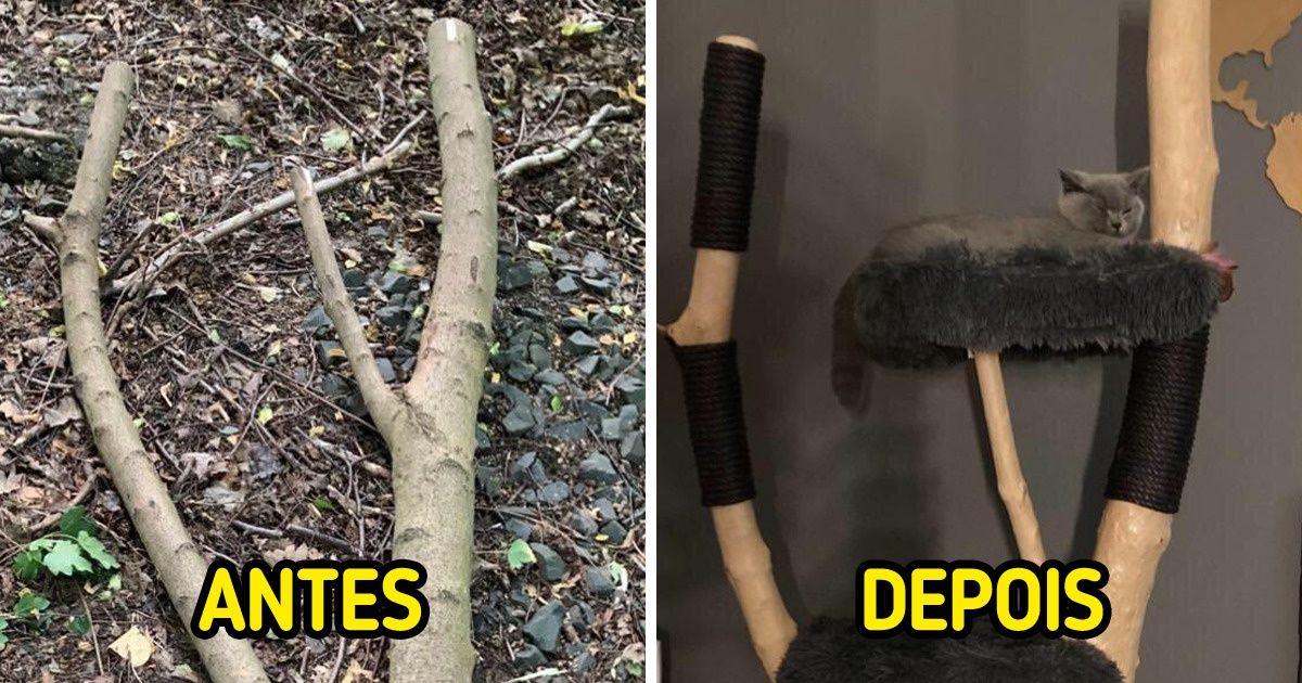 20 Objetos que pareciam lixo, mas viraram espaços confortáveis para gatos 20 Objetos que pareciam lixo, mas viraram espaços confortáveis para gatos