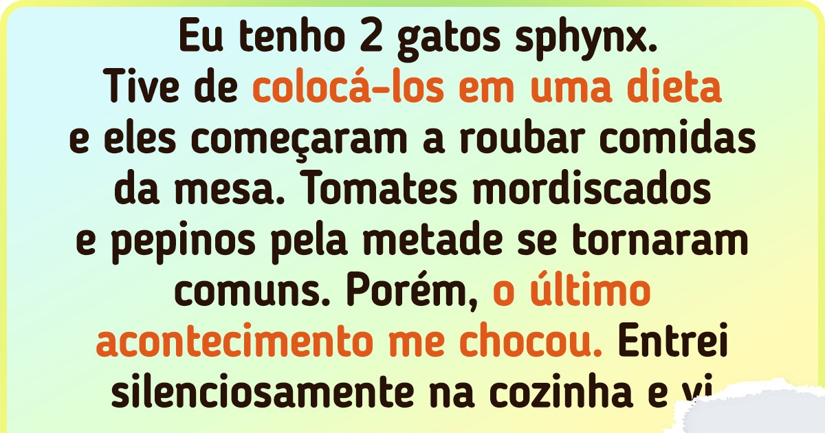 16 Animais de estimação que não medem esforços para conseguir o que querem 16 Animais de estimação que não medem esforços para conseguir o que querem